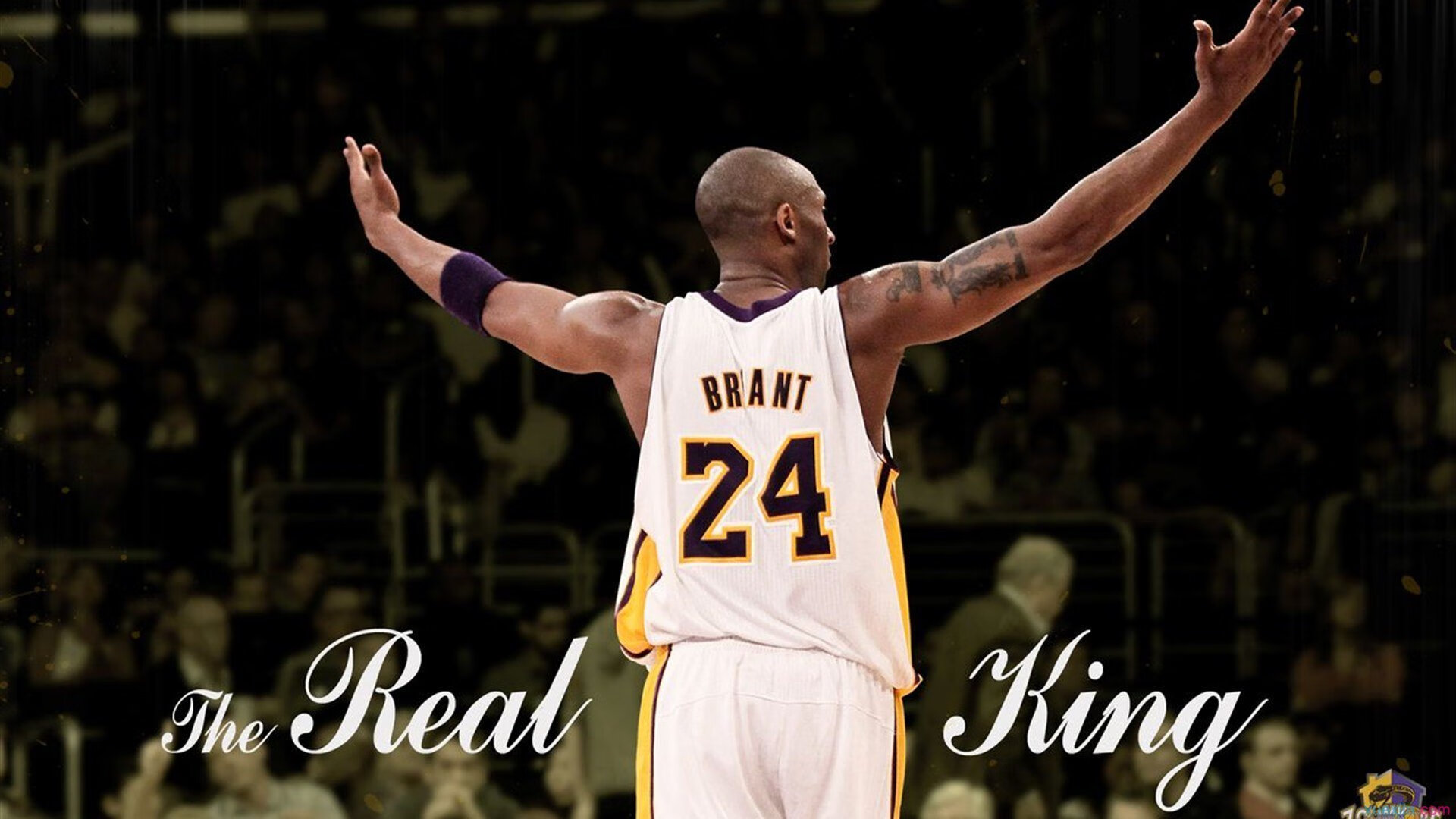 “未来之星”归来:新秀车手的辉煌起步,未来之星是谁