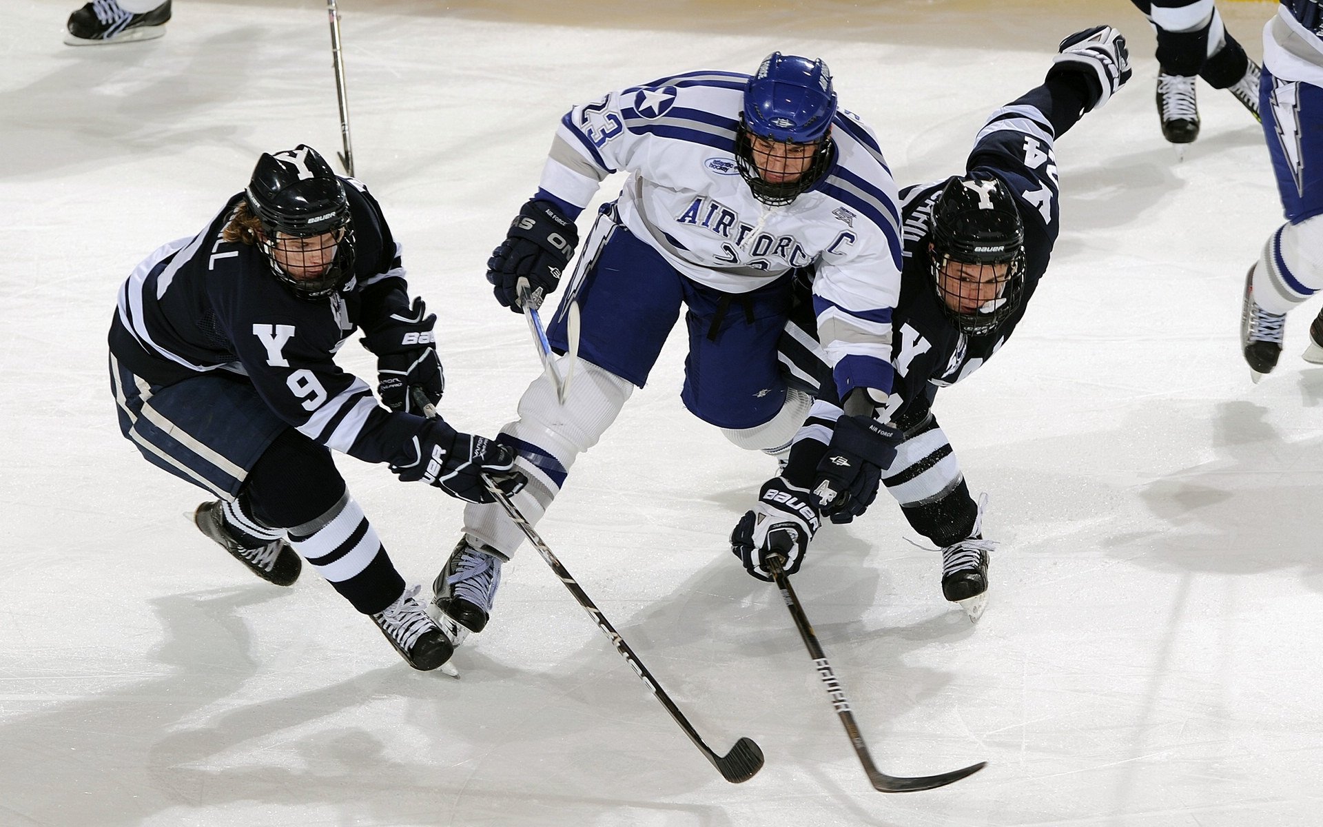 体育产业银行支持青少年篮球项目融资，促进行业资本流动，青少年体育公司